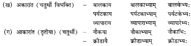 समुद्रतटः Summary Notes Class 6 Sanskrit Chapter 6.2
