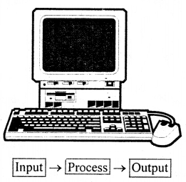 Applications of Computers in Accounting Class 11 Notes Accountancy 3