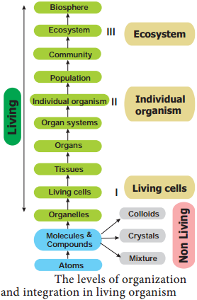 Attributes of Living Organisms img 4