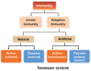 Basic Concepts Of Immunology img 1