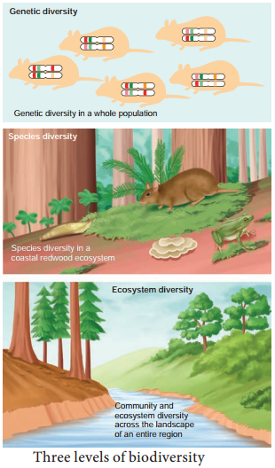 Biodiversity img 1