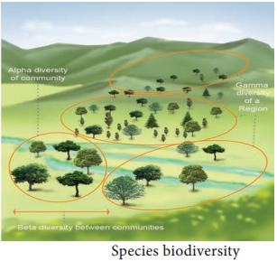 Biodiversity img 2