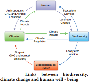Causes Of Biodiversity Loss img 1