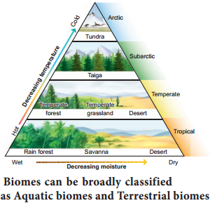 Concept of Biome and Their Distribution img 2