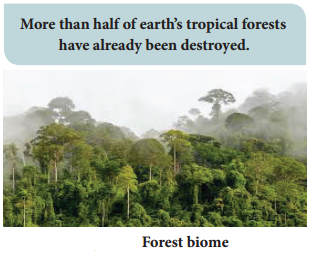 Concept of Biome and Their Distribution img 5