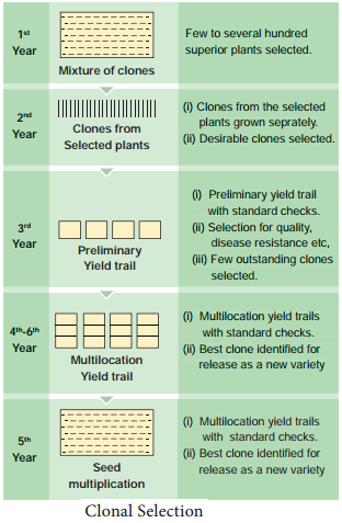 Conventional Plant Breeding Methods img 2