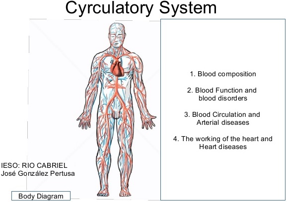 Disorders of the Circulatory System img 1
