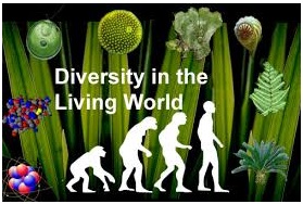 Diversity in the Living World img 1
