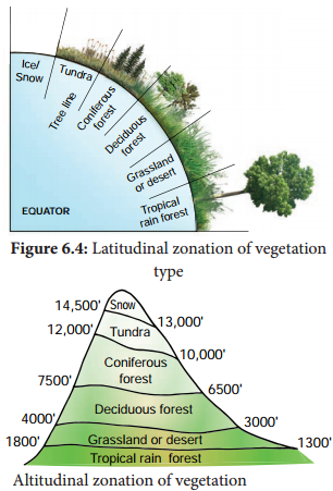 Ecological Factors img 4