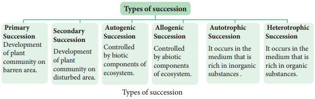 Ecological Plant Succession img 3