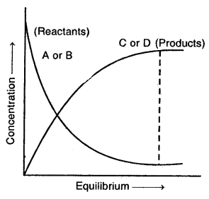 Equilibrium Class 11 Notes Chemistry 1