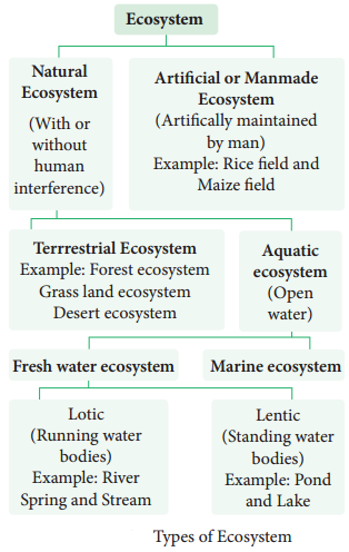 Functions Of Ecosystem img 11