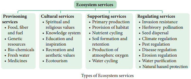 Functions Of Ecosystem img 14