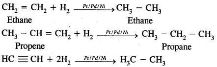 Hydrocarbons Class 11 Notes Chemistry 12