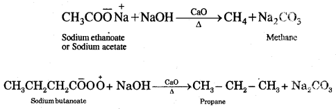 Hydrocarbons Class 11 Notes Chemistry 15