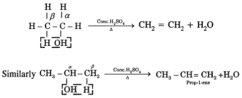 Hydrocarbons Class 11 Notes Chemistry 40