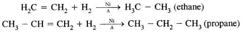 Hydrocarbons Class 11 Notes Chemistry 41