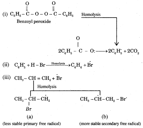 Hydrocarbons Class 11 Notes Chemistry 47