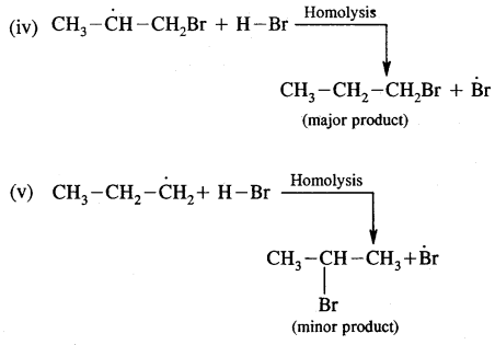 Hydrocarbons Class 11 Notes Chemistry 48