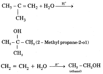 Hydrocarbons Class 11 Notes Chemistry 50