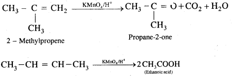 Hydrocarbons Class 11 Notes Chemistry 52