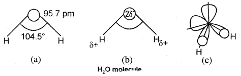 Hydrogen Class 11 Notes Chemistry 12
