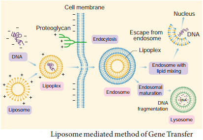 Methods Of Gene Transfer img 1