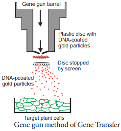 Methods Of Gene Transfer img 3