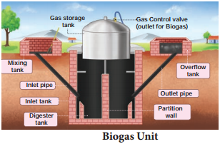 Microbes In The Production Of Biogas img 1