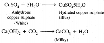 Organic Chemistry Some Basic Principles and Techniques Class 11 Notes Chemistry 78