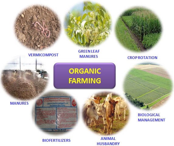 Organic Farming And Its Implementation img 1