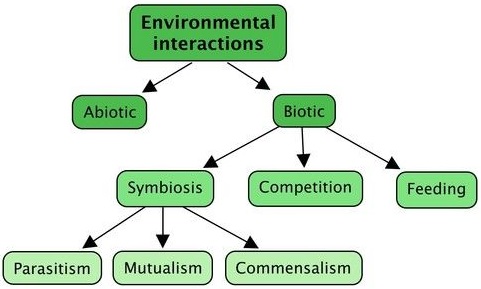 Organism and Its Environment img 1