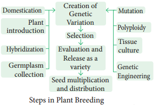 Plant Breeding img 1
