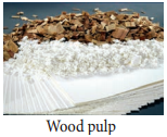Pulp Wood img 1