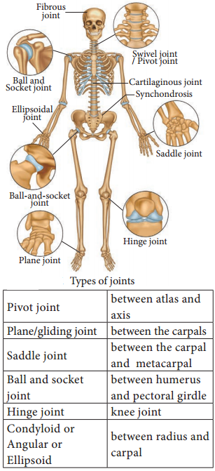 Types of Joints img 1