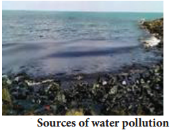 Water Pollution img 3