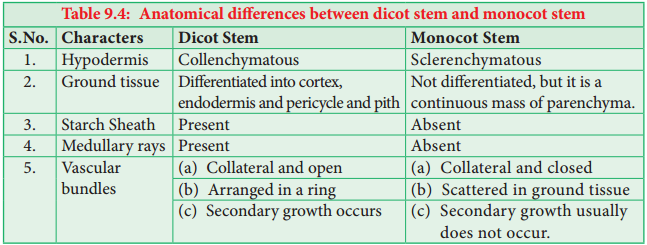 Comparision of Primary Structure - Dicot and Monocot Root - Stem and Leaf img 4