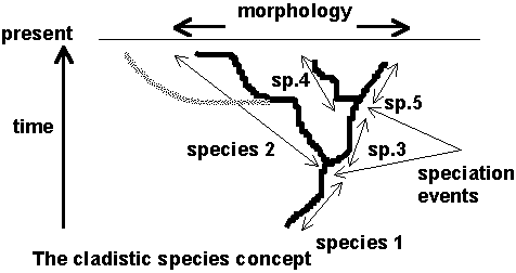 Concept of Species - Morphological, Biological and Phylogenetic img 1