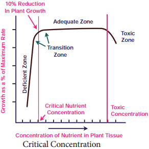 Critical Concentration and Toxicity of Minerals img 1