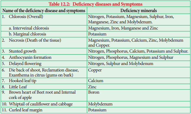 Deficiency Diseases and Symptoms img 2
