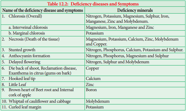 What Do You Understand By Deficiency Disease