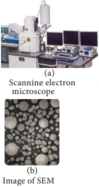Microscopy img 3