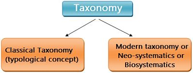 Modern Trends in Taxonomy img 1