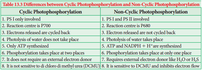 Photophosphorylation img 3