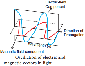 Spectrum of Electromagnetic Radiation img 2