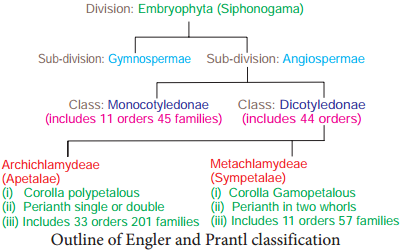 Types of Classification img 7