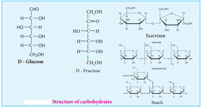 Biomolecules of Carbohydrates img 1