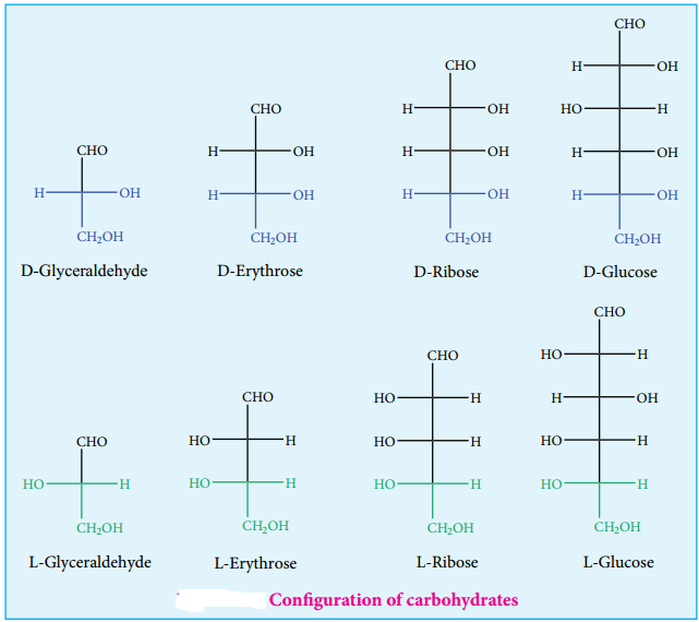 Biomolecules of Carbohydrates img 3