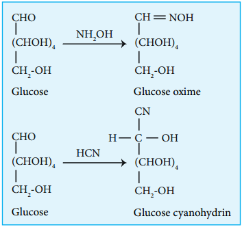Biomolecules of Carbohydrates img 9