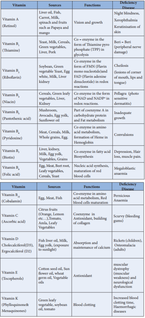 Biomolecules of Vitamins and Their Functions – NCERT MCQ